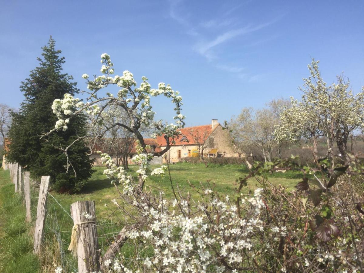 Chambres D'Hotes Domaine Les Grands Perons Herisson ภายนอก รูปภาพ